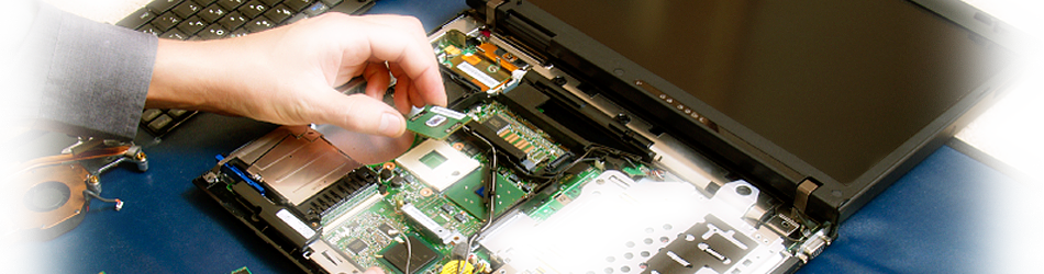 usuários domésticos